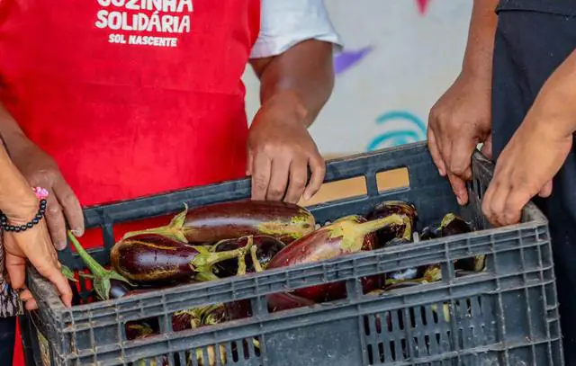 alimentos-doacao