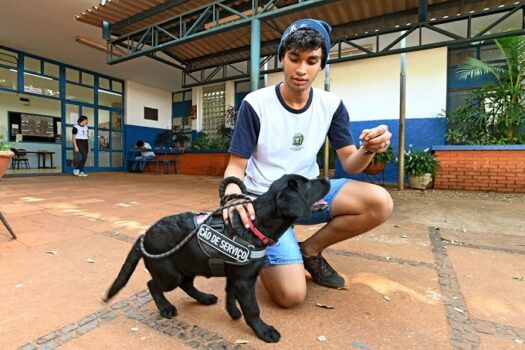 Aluno da rede municipal de Campinas com epilepsia conta com apoio de cão de serviço