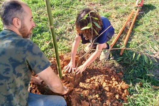 Nova Odessa vai ganhar novo Plano Municipal de Arborização Urbana