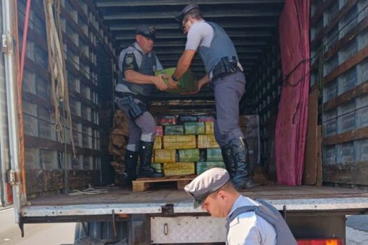 Caminhão com livros é apreendido com 1,5 tonelada de maconha no interior de SP