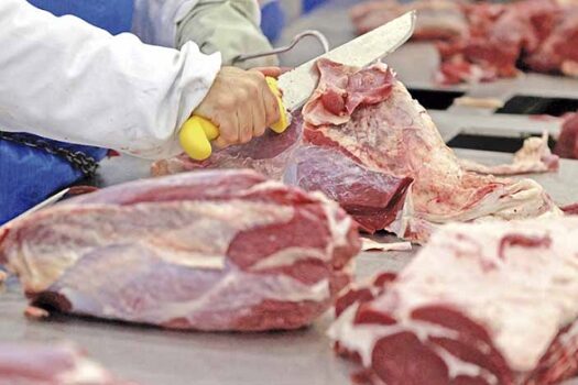 Carnes ficam fora da cesta básica em relatório da reforma tributária