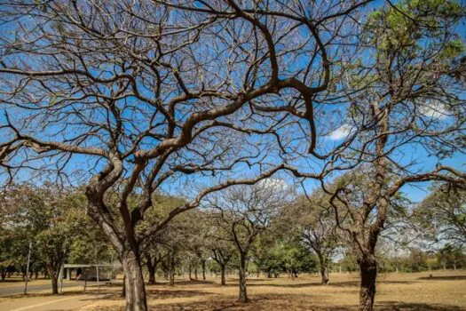 Inmet alerta sobre baixa umidade no Centro-Oeste e no Tocantins