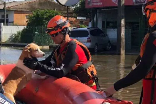 Corpo de Bombeiros de SP encerra missão no RS com mais de 1,3 mil resgates