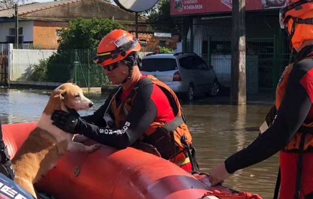 corpo-de-bombeiros-rs