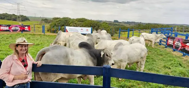 Dia Nacional do Pecuarista: cresce participação feminina no setor que movimenta a economia do País