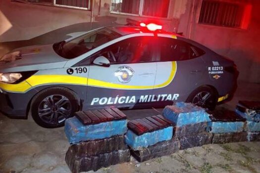 Mais de 300 kg de maconha são apreendidas em caminhão no interior de SP