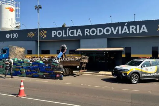 Polícias Civil e Militar apreendem quase 10 toneladas de drogas em uma semana