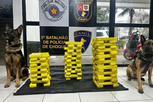 Grupo é preso por delivery de drogas na região da Vila Mariana, zona sul da capital