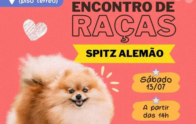 encontro-cachorro