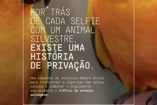 Tráfico de animais é tema de exposição em São Paulo