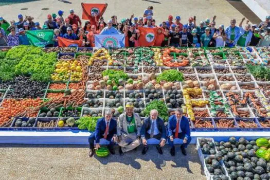 Programa Florestas Produtivas permitirá mais alimentos e restauração florestal no país