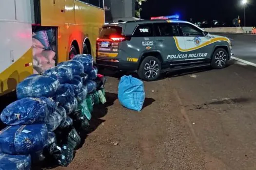 Trio é preso com mais de 200 kg de folhas de coca em Santa Cruz do Rio Pardo