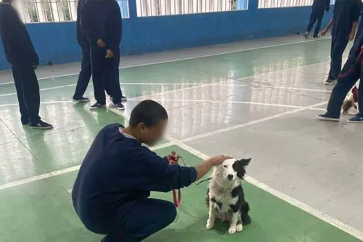 Jovens da Fundação CASA Diadema realizam oficina de adestramento de cães