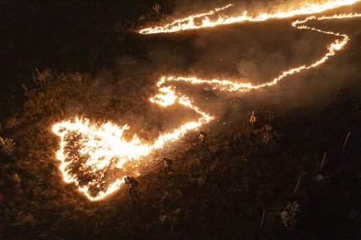 Tecnologia reduz tempo de resposta contra incêndios no Cerrado