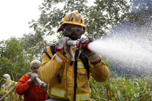 Número de incêndios florestais em SP tem queda de 41% em junho