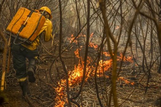 Incêndios podem ter degradado 9% do Pantanal nos últimos cinco anos