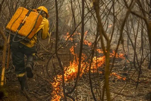 Governo Federal atua com mais de 1,4 mil brigadistas na Amazônia