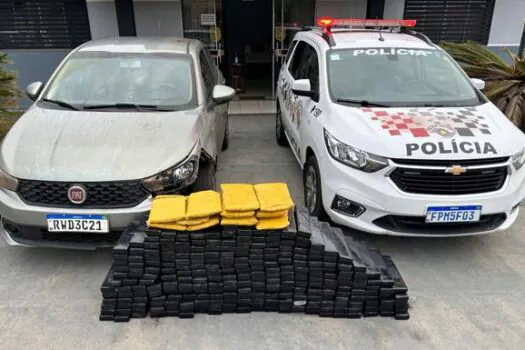 Motorista que transportava mais de 250 kg de maconha é preso pela PM no interior de SP