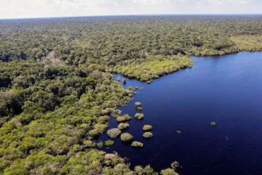 Plano Clima Participativo: Governo percorre o Brasil para discutir emergência climática com a população