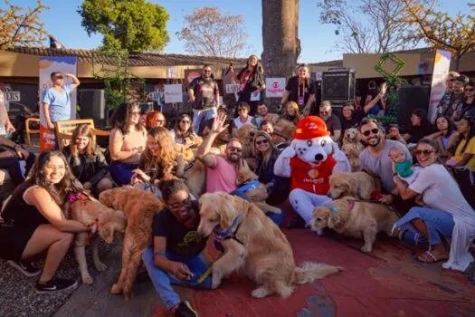 Além do asfalto: Capital Moto Week protagoniza desfile de pets