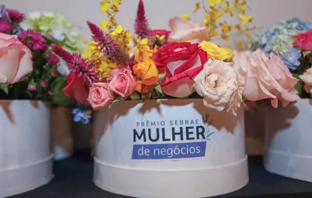 Prêmio Sebrae Mulheres de Negócios Brasília-DF 05-12-2023