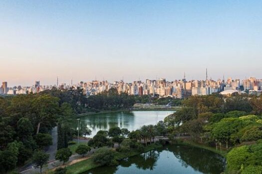 Parque Ibirapuera oferece atividade de jardinagem e técnica japonesa de cultivo de plantas 