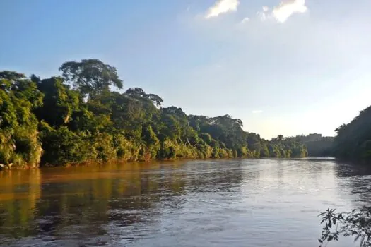 Defesa Civil inicia operação para retirada de peixes no Rio Piracicaba