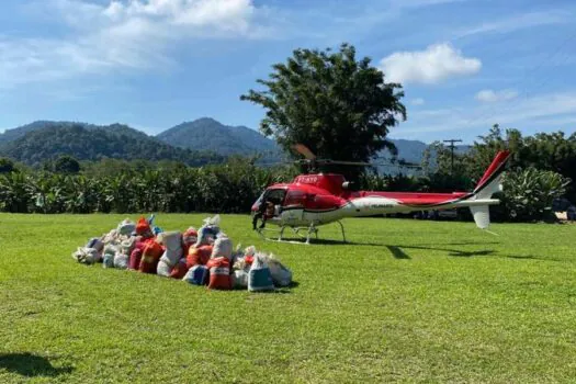 Fundação Florestal lança sementes de palmeira em parques estaduais no Vale do Ribeira