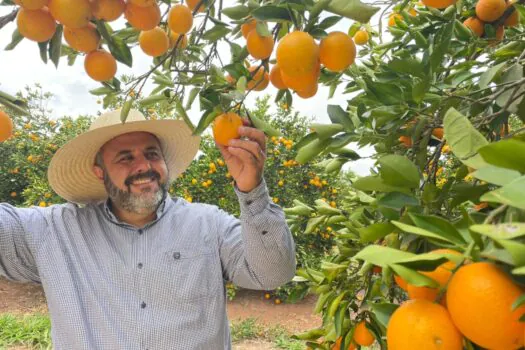 Stoller destaca soluções inovadoras na Coopercitrus Expo 2024