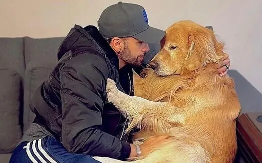 Tutor de cachorro Joca, morto em voo, adota outro cão