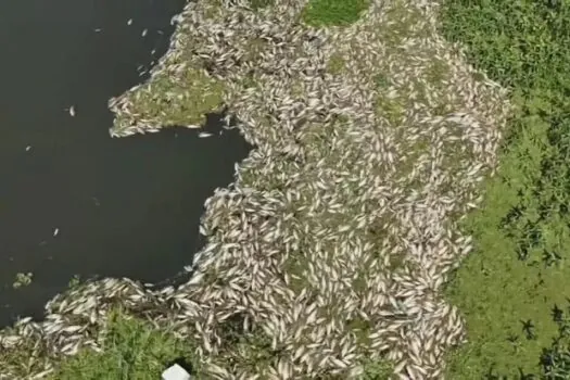 Usina é multada em R$ 18 milhões por morte de peixes em rio de Piracicaba (SP)