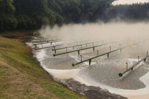 Defesa Civil começa retirada de toneladas de peixes mortos no rio Piracicaba