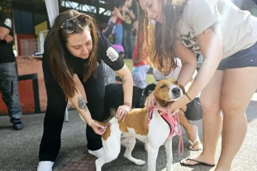 Ribeirão Pires oferece vacinação antirrábica gratuita para cães e gatos