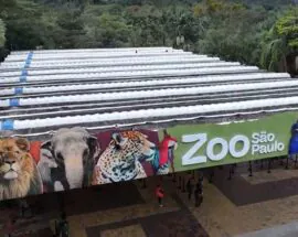 zoo-sp