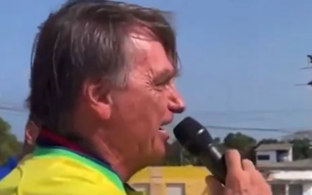 abelhas-bolsonaro