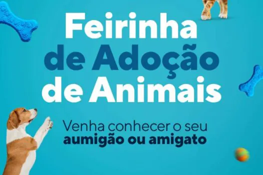 Loja da COOP de Santo André sedia feira de adoção animal