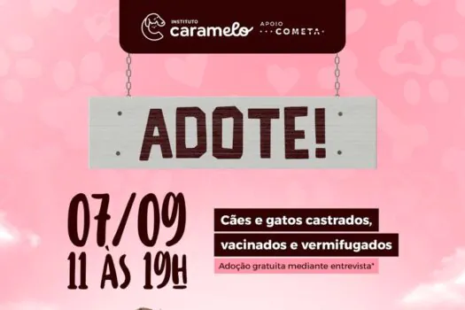 ParkShopping São Caetano e Instituto Caramelo promovem evento de adoção de animais