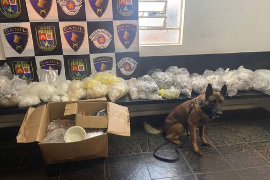 Cão policial encontra ‘casa bomba’ com quase 50 quilos de drogas em Embu das Artes