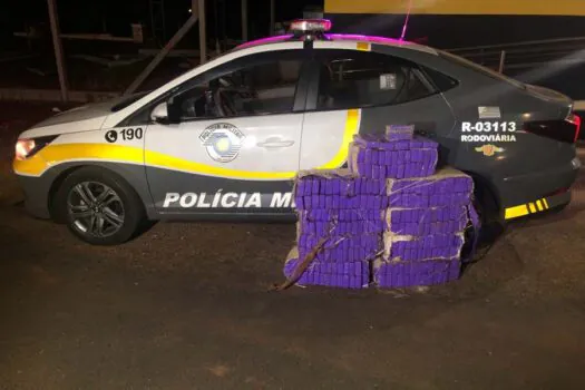 Mulher é presa com mais de 200 tijolos de maconha em rodovia do interior de São Paulo