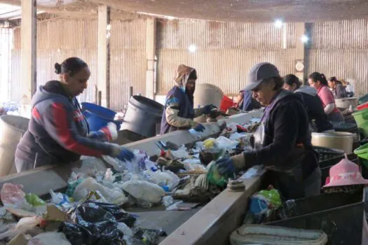 Semasa realiza atividades de educação ambiental em agosto para promover sustentabilidade