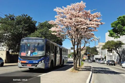 EMTU dá início a 3ª edição do concurso de fotos “Olhar Metropolitano”