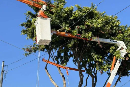 Enel SP intensifica mutirões de podas para reduzir impacto no fornecimento de energia