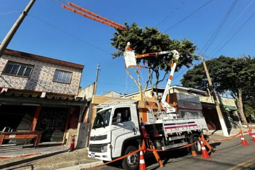 Enel São Paulo triplica podas para reduzir impacto no fornecimento de energia