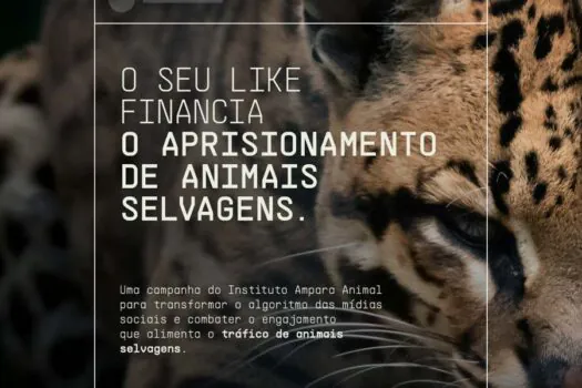 Shopping Pátio Paulista estende exposição em combate ao tráfico de animais