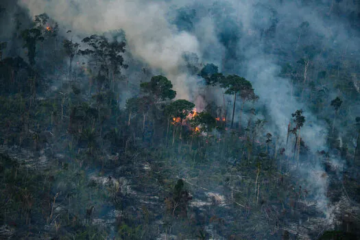 Mais de 80% dos focos de calor em SP estão em áreas de agropecuária