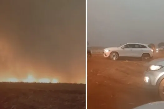 Hotel-fazenda em SP é atingido por incêndio e alguns animais morrem