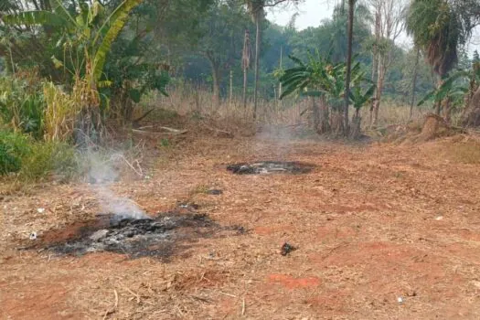 Idoso é detido após atear fogo em lixo em São José do Rio Preto