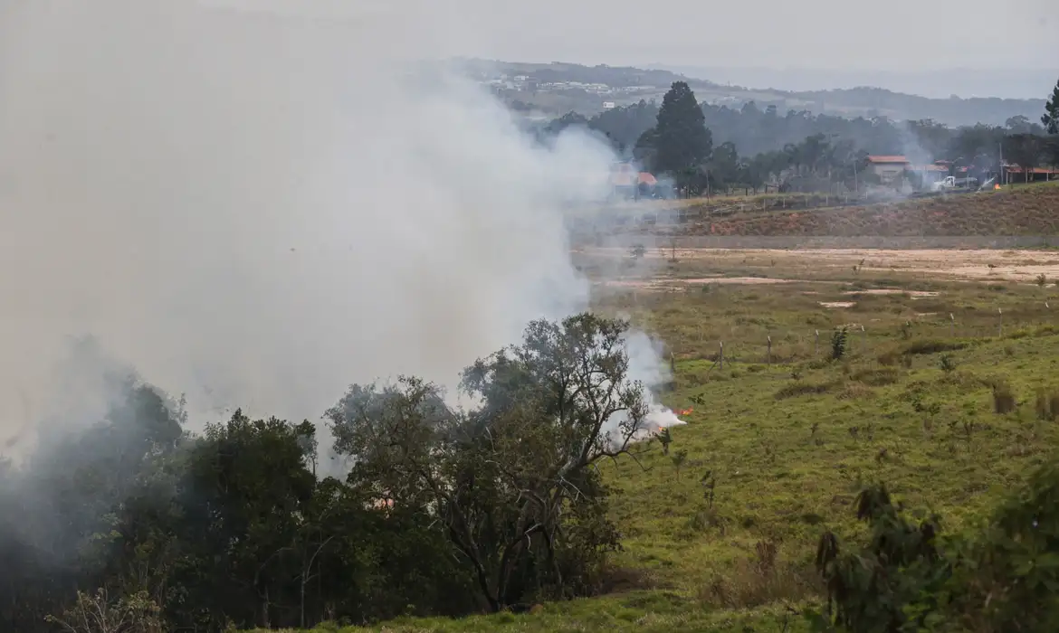 incendio-criminoso