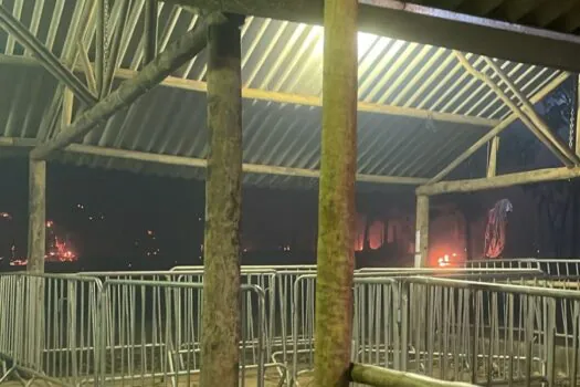 Incêndio interrompe festa rave em SP e causa pânico em frequentadores