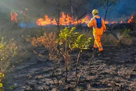 Brasil registrou 2,7 mil focos de incêndio nas últimas 24 horas